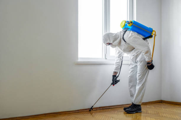 Best Residential Pest Control  in Campbell, OH